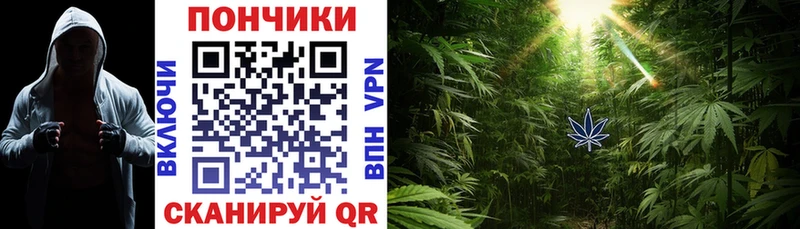 Конопля SATIVA & INDICA  купить   Катайск 
